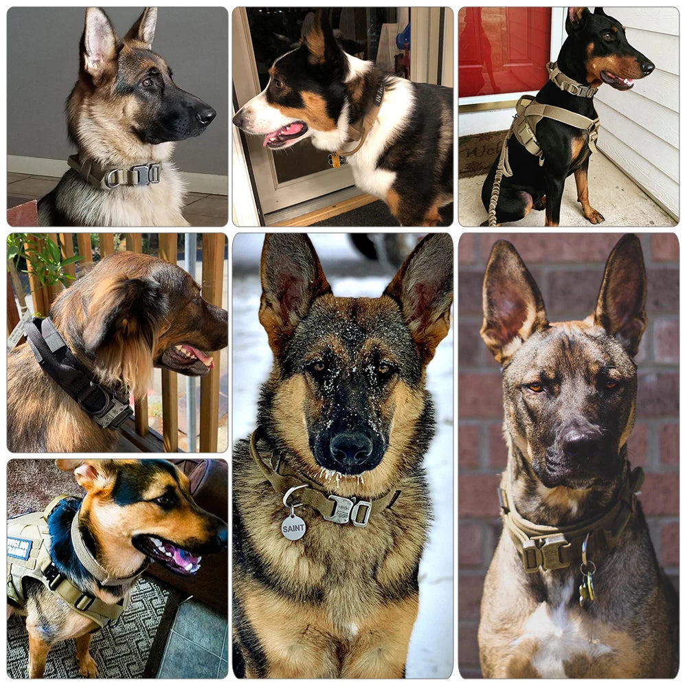 Adjustable Dog Collar or Tactical Training Collar And Leash/Handle Set