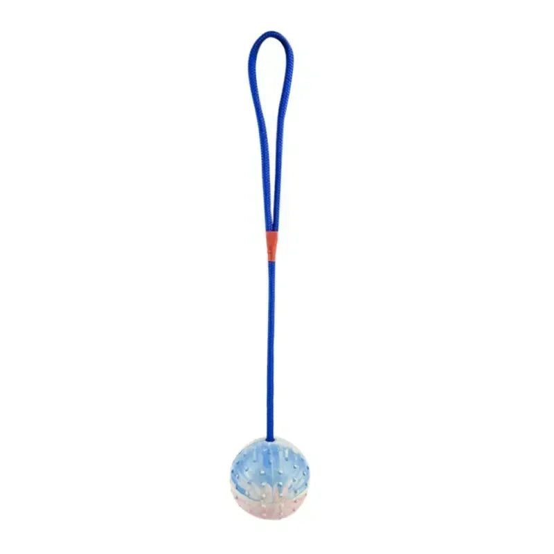 Rubber Interactive Training Dog Toy