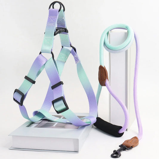 Comfortable Stylish Vibrant Pet Harness Set with Leash for Safe, Comfortable Walking and Training