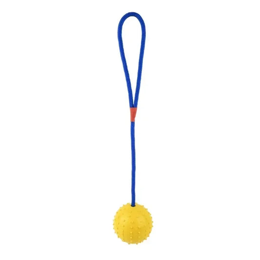 Rubber Interactive Training Dog Toy