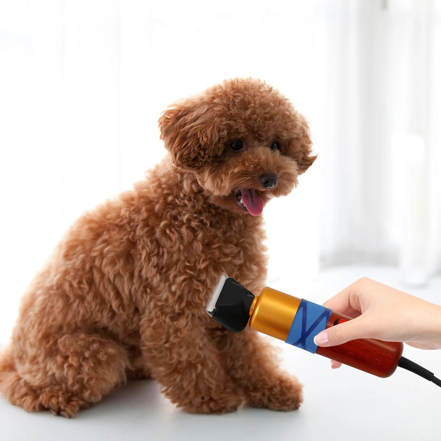 Pet Hair Clipper Low Noise High-efficiency Professional Electric Variable Speed
