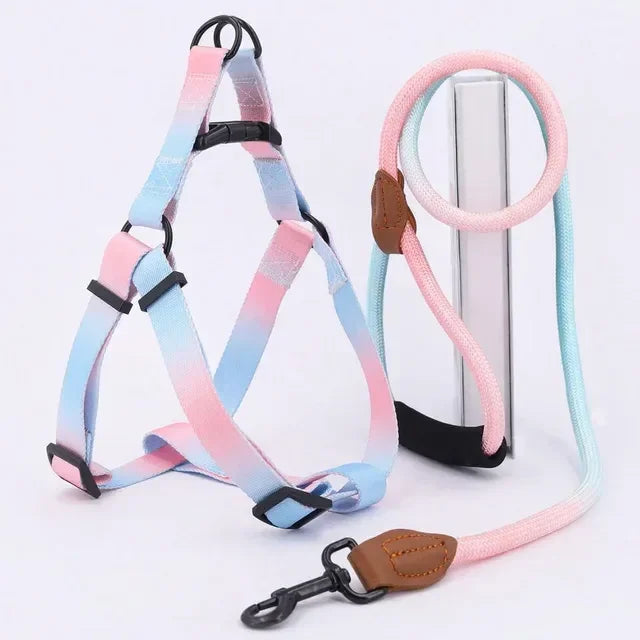 Comfortable Stylish Vibrant Pet Harness Set with Leash for Safe, Comfortable Walking and Training