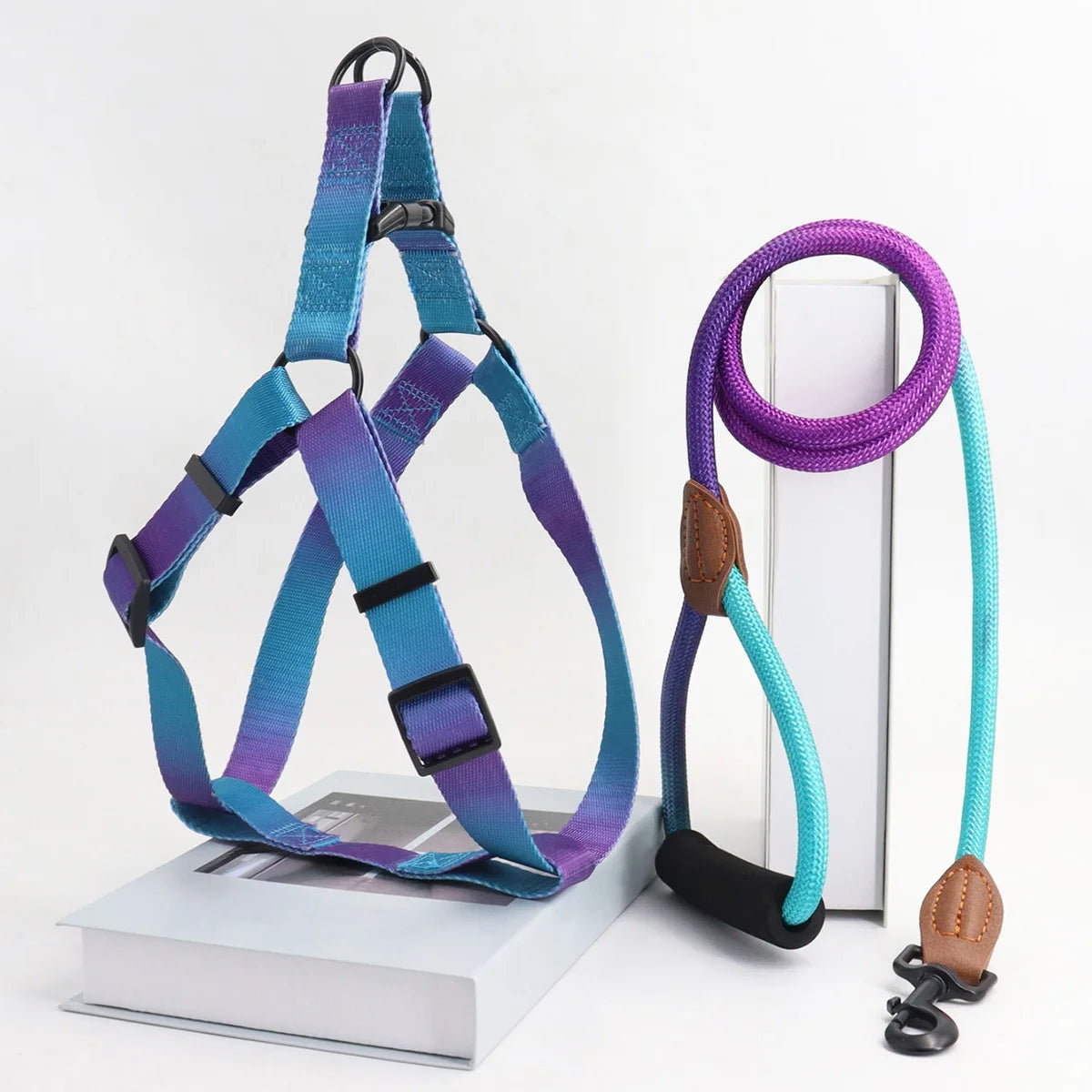 Comfortable Stylish Vibrant Pet Harness Set with Leash for Safe, Comfortable Walking and Training
