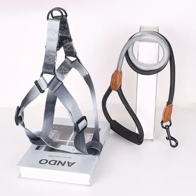 Comfortable Stylish Vibrant Pet Harness Set with Leash for Safe, Comfortable Walking and Training