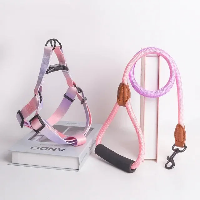 Comfortable Stylish Vibrant Pet Harness Set with Leash for Safe, Comfortable Walking and Training