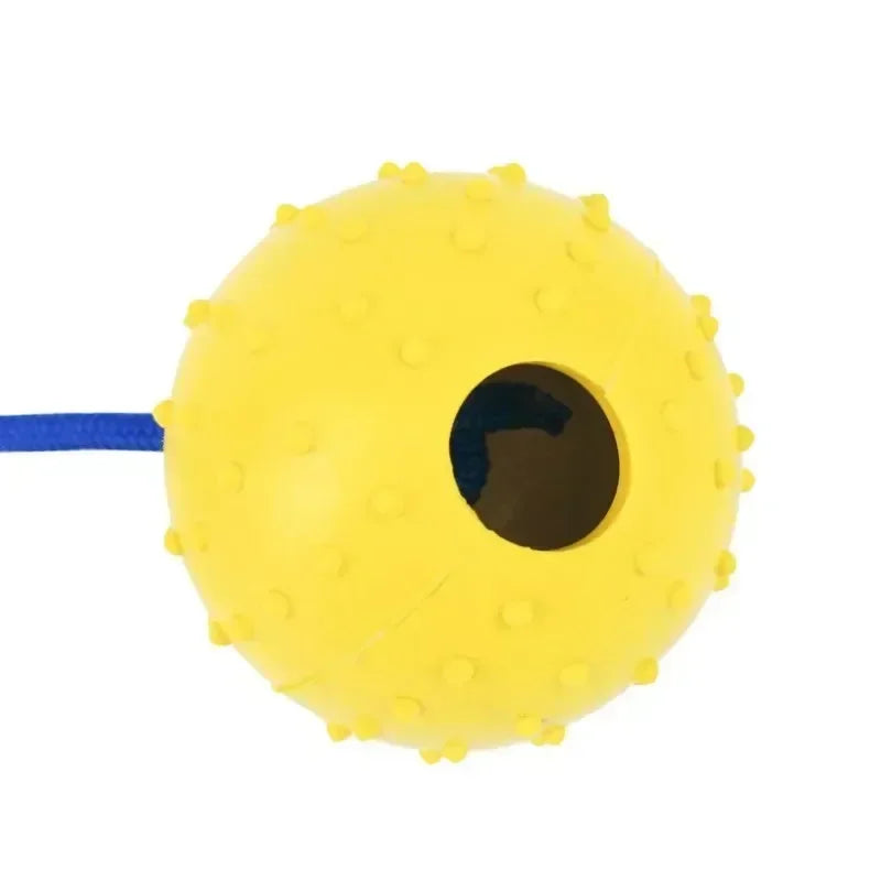 Rubber Interactive Training Dog Toy