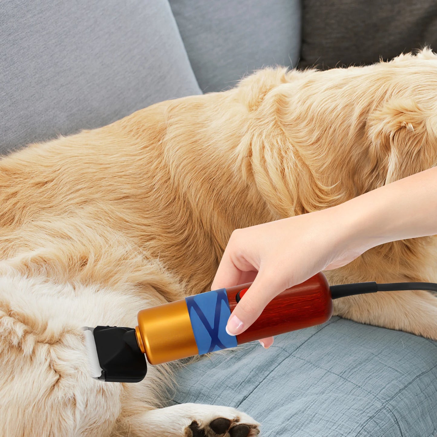 Pet Hair Clipper Low Noise High-efficiency Professional Electric Variable Speed