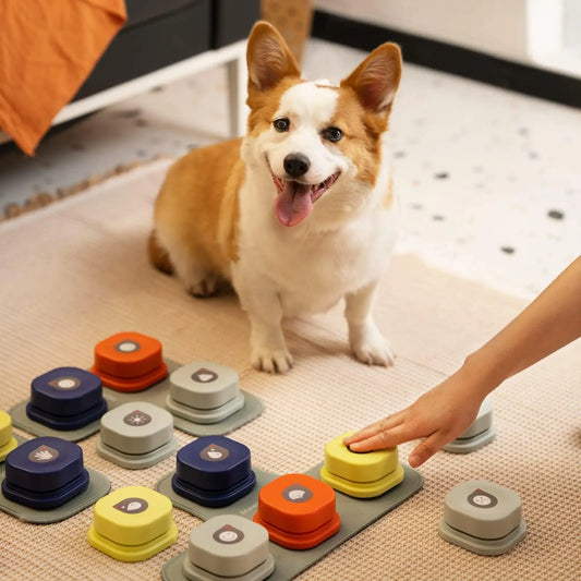 Dog Button Talking Pet Communication Vocal Training Toy Bell With Pad and Sticker