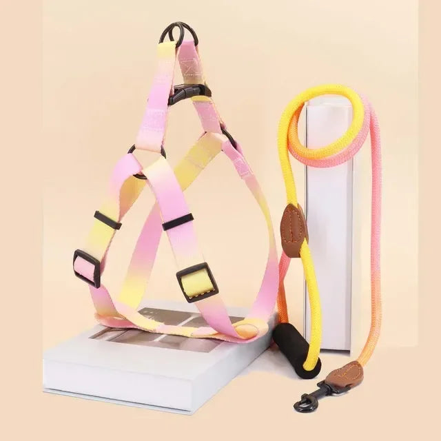 Comfortable Stylish Vibrant Pet Harness Set with Leash for Safe, Comfortable Walking and Training